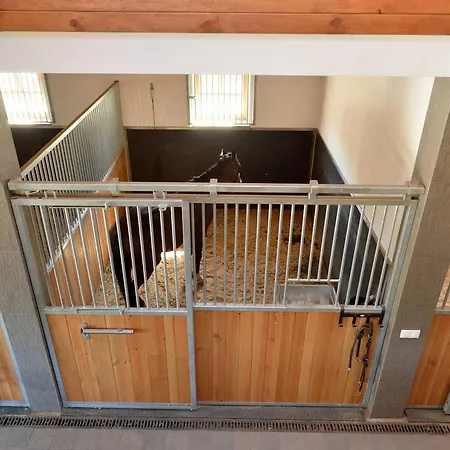 Pokoje Goscinne Ranczo Baranowka