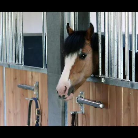 Pokoje Goscinne Ranczo Baranowka