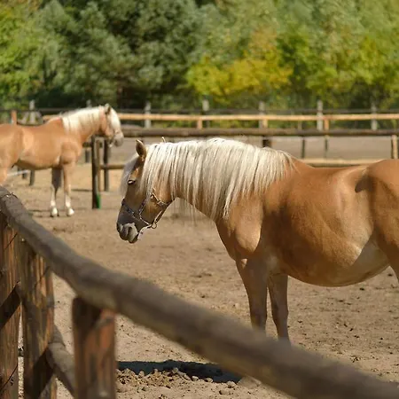Affittacamere Pokoje Goscinne Ranczo Baranowka *