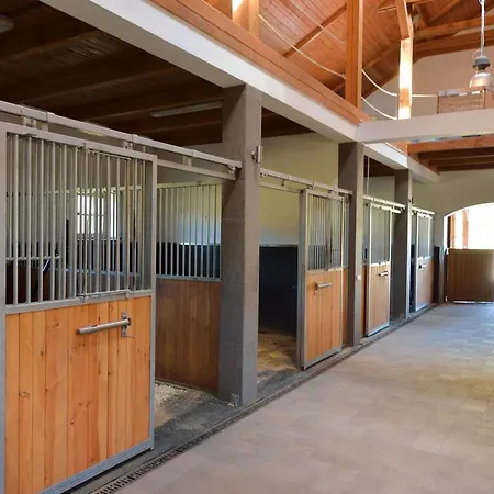 Affittacamere Pokoje Goscinne Ranczo Baranowka