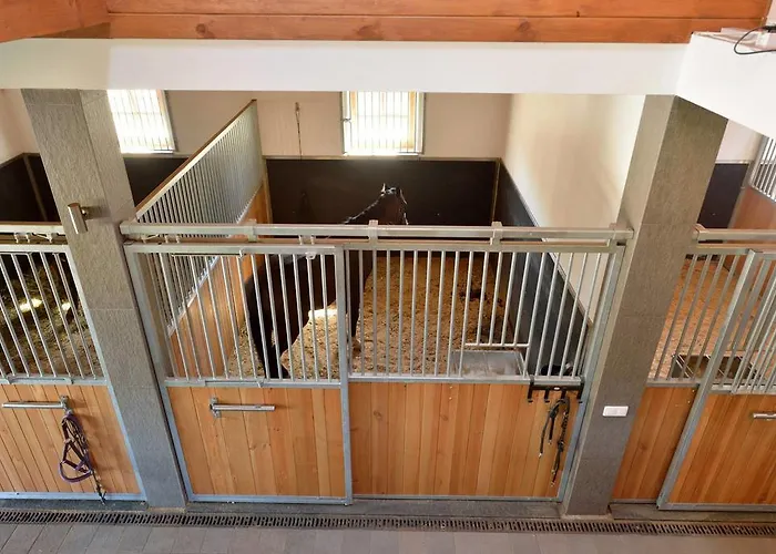 Pokoje Gościnne Ranczo Baranówka