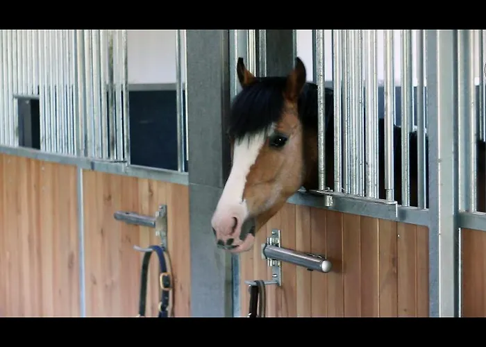 Pokoje Gościnne Ranczo Baranówka