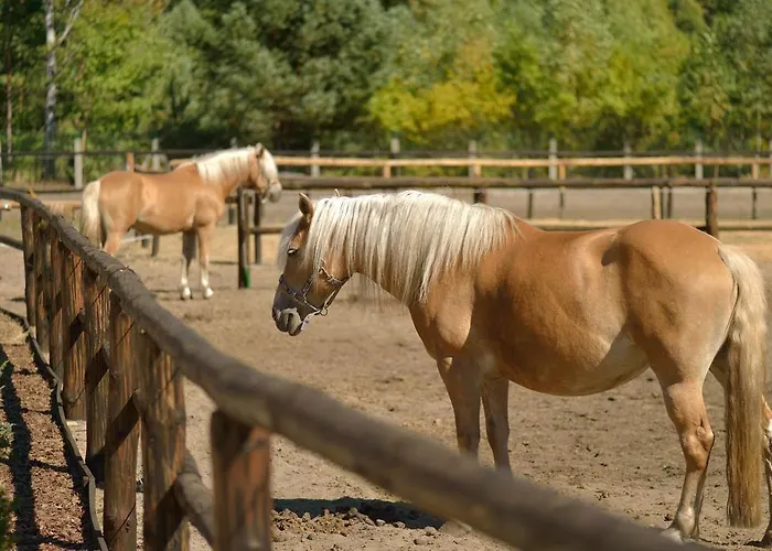 Pensión Pokoje Gościnne Ranczo Baranówka *