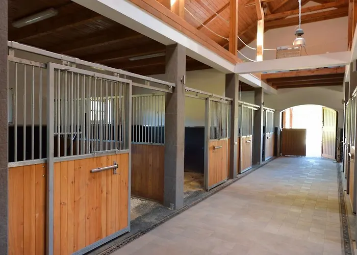 Pensión Pokoje Gościnne Ranczo Baranówka